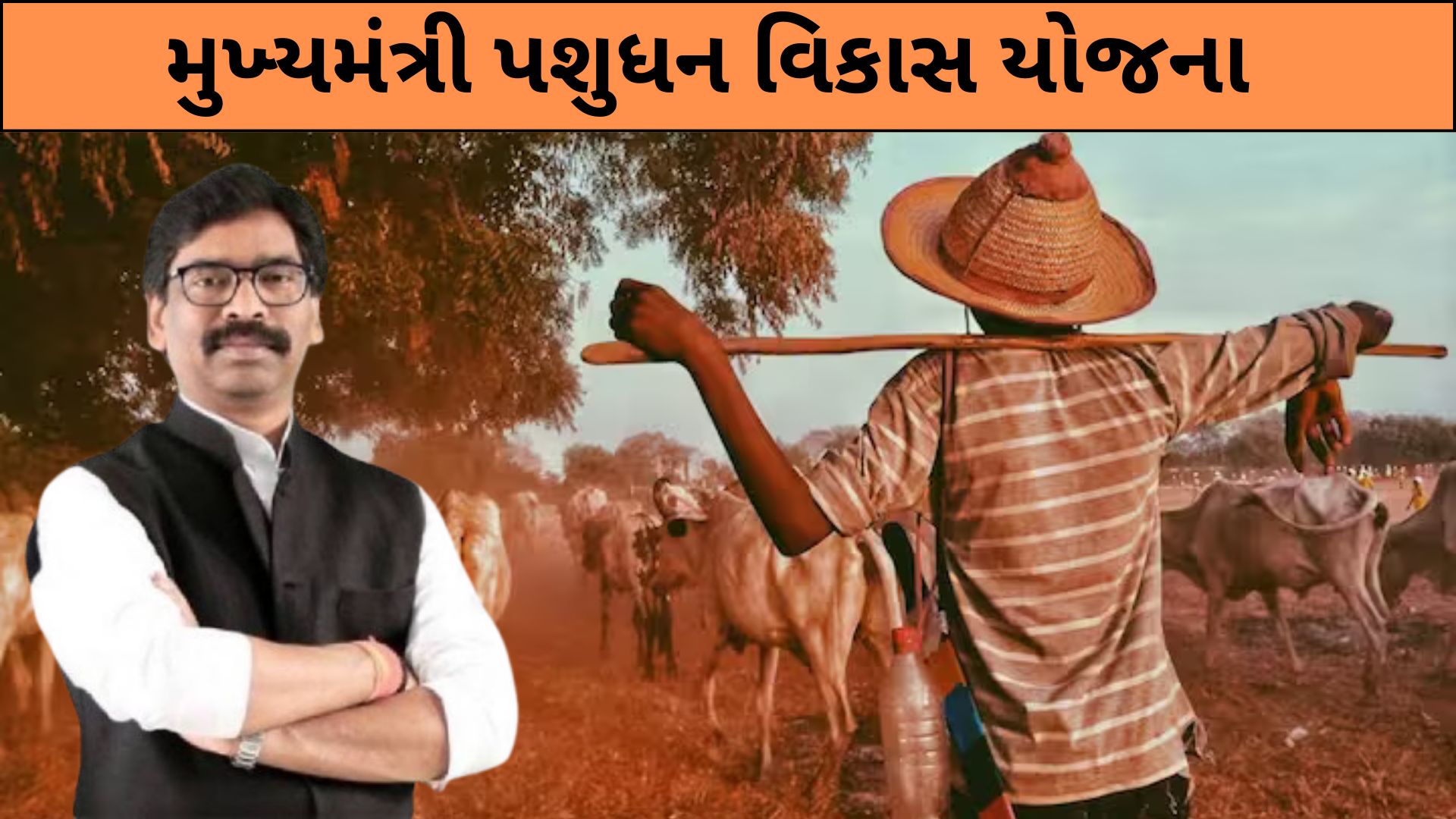 મુખ્યમંત્રી પશુધન વિકાસ યોજના